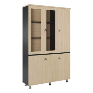 Tủ văn phòng cao cấp